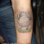 photo tattoo sparrow 19.02.2019 №106 - sparrow tattoo idea - tattoovalue.net