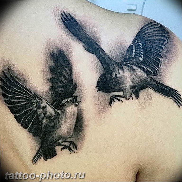 photo tattoo sparrow 19.02.2019 №107 - sparrow tattoo idea - tattoovalue.net