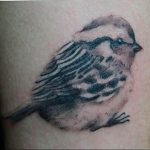 photo tattoo sparrow 19.02.2019 №109 - sparrow tattoo idea - tattoovalue.net