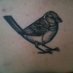 photo tattoo sparrow 19.02.2019 №110 - sparrow tattoo idea - tattoovalue.net