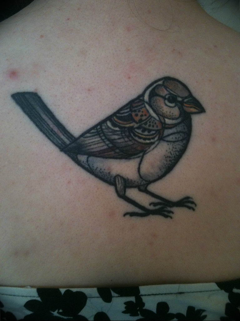 photo tattoo sparrow 19.02.2019 №110 - sparrow tattoo idea - tattoovalue.net