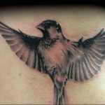 photo tattoo sparrow 19.02.2019 №111 - sparrow tattoo idea - tattoovalue.net
