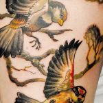 photo tattoo sparrow 19.02.2019 №115 - sparrow tattoo idea - tattoovalue.net