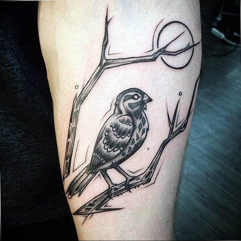 photo tattoo sparrow 19.02.2019 №116 - sparrow tattoo idea - tattoovalue.net