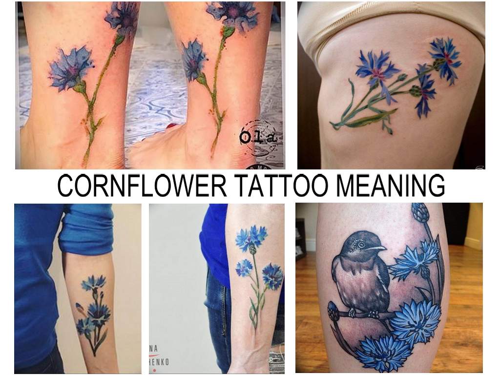 CORNFLOWER TATTOO MEANING - information about the features of the picture and photo examples of finished tattoos