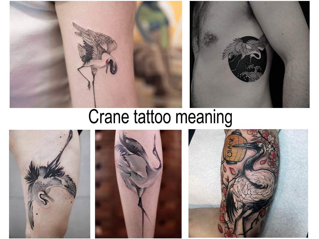 Crane tattoo meaning - information about the features of the tattoo design and photo examples of ready-made options