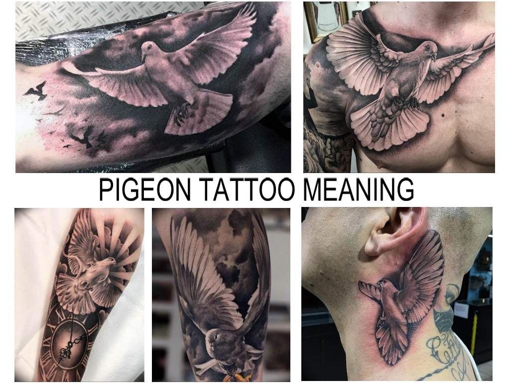 PIGEON TATTOO MEANING - information about the features of the picture and photo examples of finished tattoo drawings