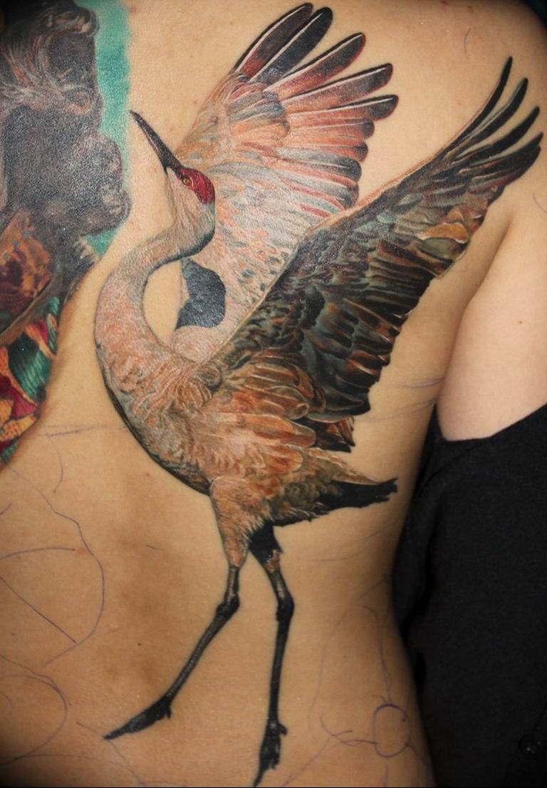 What Does Crane Tattoo Mean  Represent Symbolism