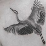 Photo tattoo crane 01.03.2019 №019 - idea for tattoo drawing crane - tattoovalue.net
