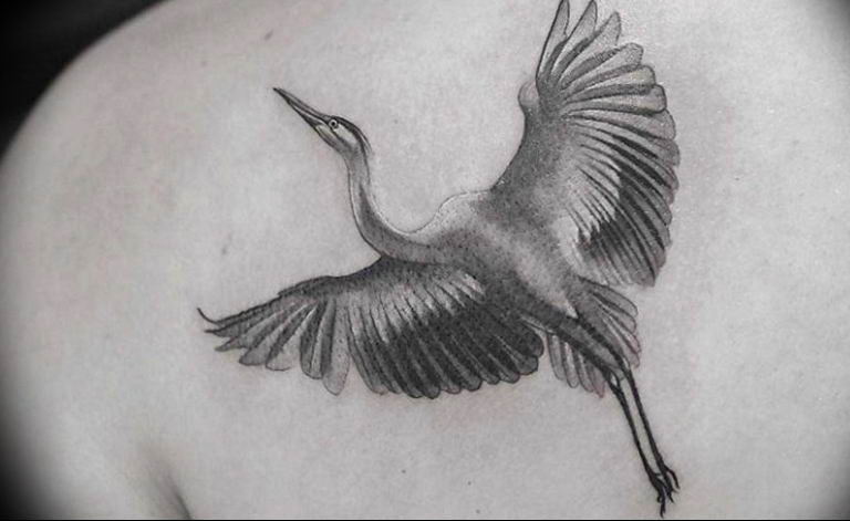 Photo tattoo crane 01.03.2019 №019 - idea for tattoo drawing crane - tattoovalue.net