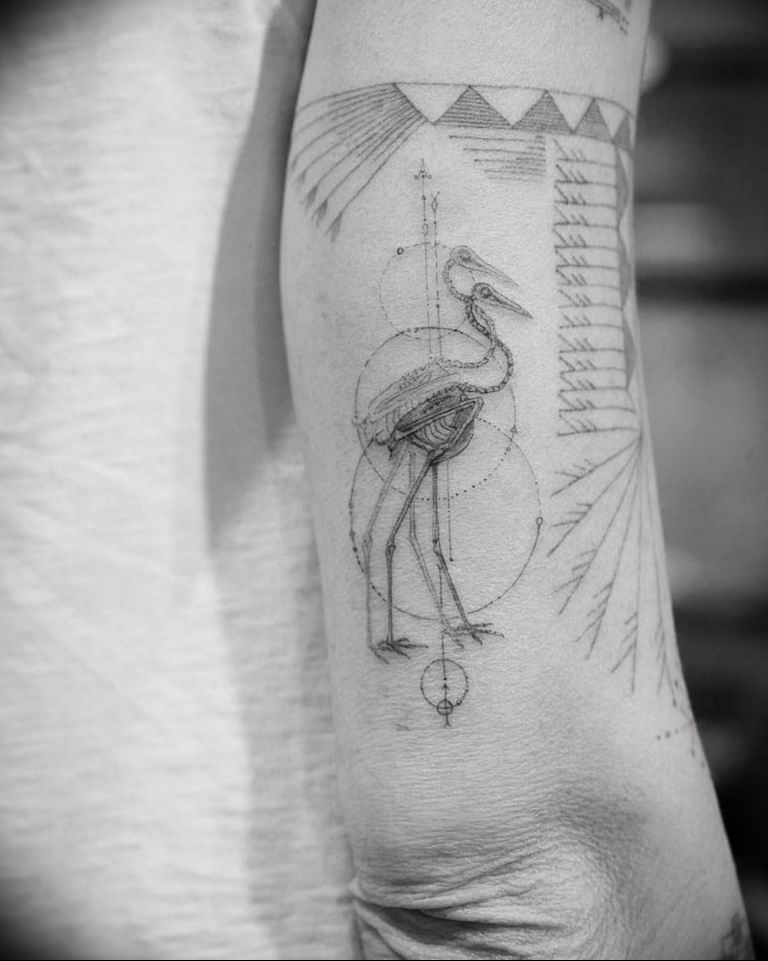 Photo tattoo crane 01.03.2019 №052 - idea for tattoo drawing crane - tattoovalue.net