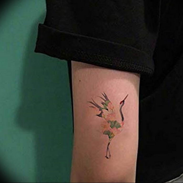 Photo tattoo crane 01.03.2019 №060 - idea for tattoo drawing crane - tattoovalue.net