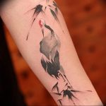 Photo tattoo crane 01.03.2019 №081 - idea for tattoo drawing crane - tattoovalue.net