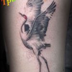 Photo tattoo crane 01.03.2019 №125 - idea for tattoo drawing crane - tattoovalue.net
