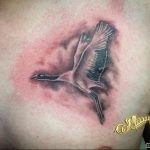 Photo tattoo crane 01.03.2019 №131 - idea for tattoo drawing crane - tattoovalue.net