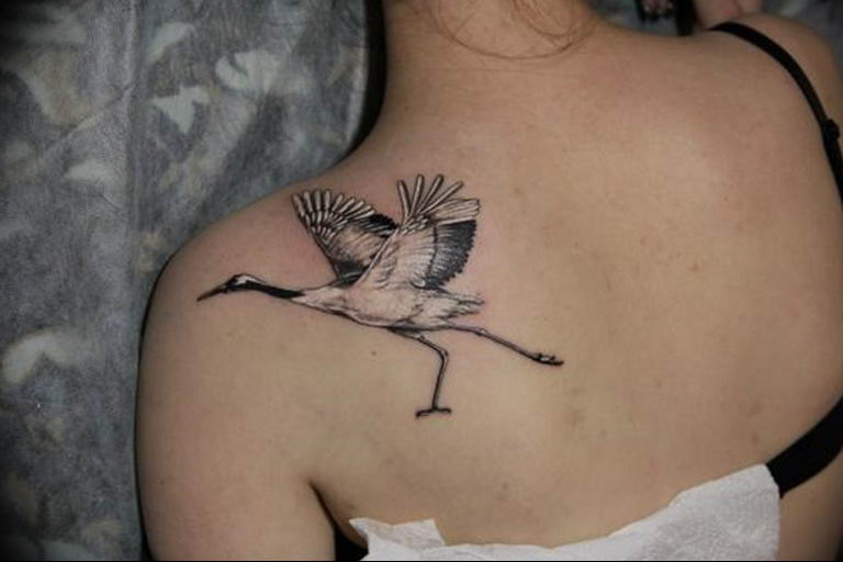 Photo tattoo crane 01.03.2019 №149 - idea for tattoo drawing crane - tattoovalue.net
