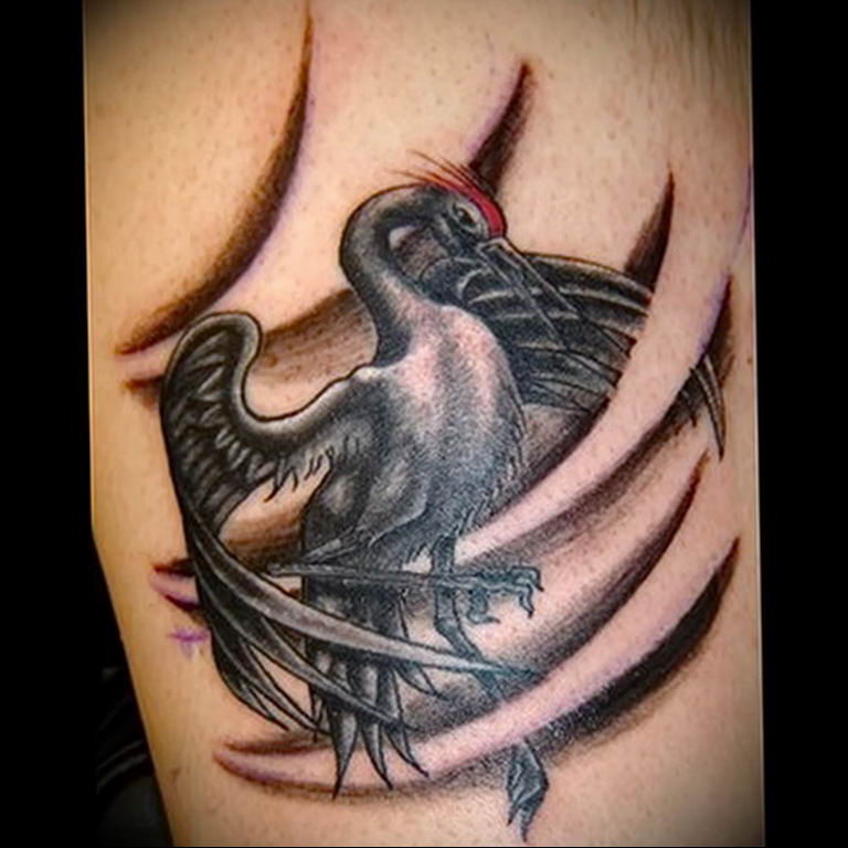 Photo tattoo crane 01.03.2019 №159 - idea for tattoo drawing crane - tattoovalue.net