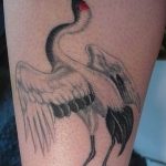 Photo tattoo crane 01.03.2019 №178 - idea for tattoo drawing crane - tattoovalue.net