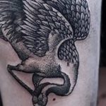 Photo tattoo crane 01.03.2019 №183 - idea for tattoo drawing crane - tattoovalue.net