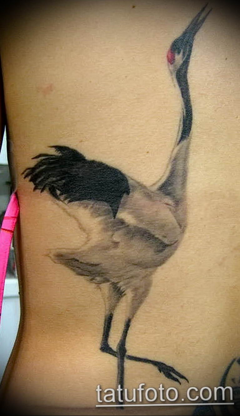 Photo tattoo crane 01.03.2019 №191 - idea for tattoo drawing crane - tattoovalue.net