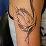 Photo tattoo crane 01.03.2019 №193 - idea for tattoo drawing crane - tattoovalue.net