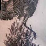 Photo tattoo crane 01.03.2019 №202 - idea for tattoo drawing crane - tattoovalue.net