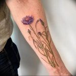 photo tattoo cornflower 03.03.2019 №028 - idea for a tattoo with cornflower - tattoovalue.net