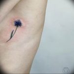 526 Cornflower Tattoo Images Stock Photos  Vectors  Shutterstock