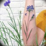 photo tattoo cornflower 03.03.2019 №074 - idea for a tattoo with cornflower - tattoovalue.net