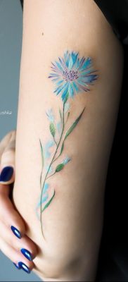 Cornflower tattoo meaning: history, features, photo drawings, sketches ...