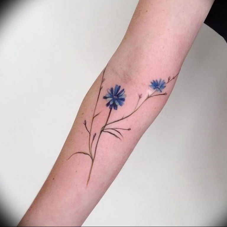 Cornflower tattoo meaning history, features, photo drawings, sketches