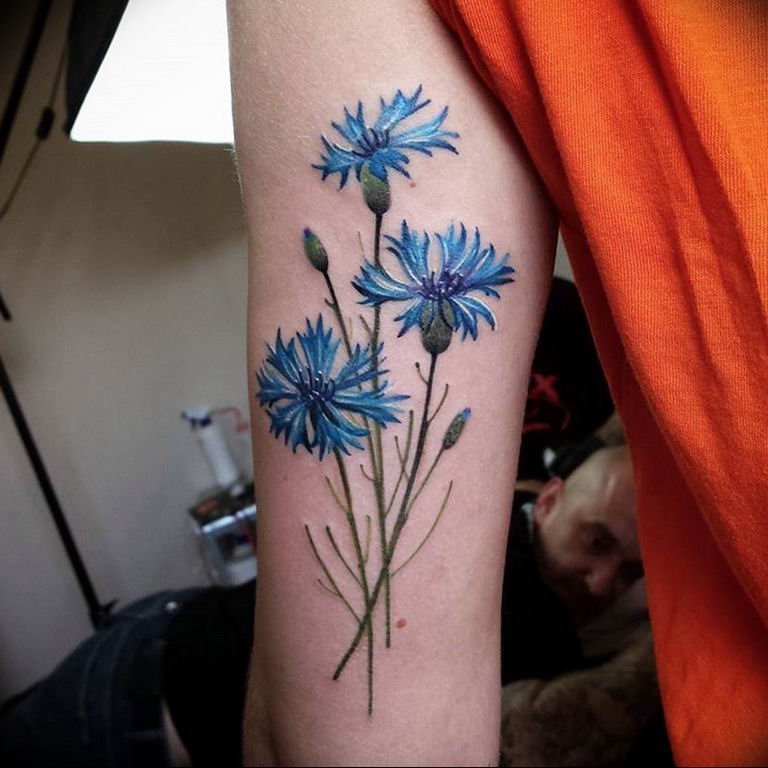 photo tattoo cornflower 03.03.2019 №003 - idea for a tattoo with cornflower - tattoovalue.net