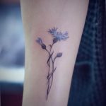 photo tattoo cornflower 03.03.2019 №004 - idea for a tattoo with cornflower - tattoovalue.net