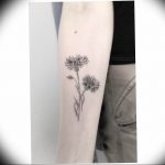 photo tattoo cornflower 03.03.2019 №005 - idea for a tattoo with cornflower - tattoovalue.net