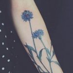 photo tattoo cornflower 03.03.2019 №006 - idea for a tattoo with cornflower - tattoovalue.net