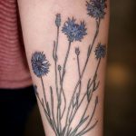 photo tattoo cornflower 03.03.2019 №008 - idea for a tattoo with cornflower - tattoovalue.net