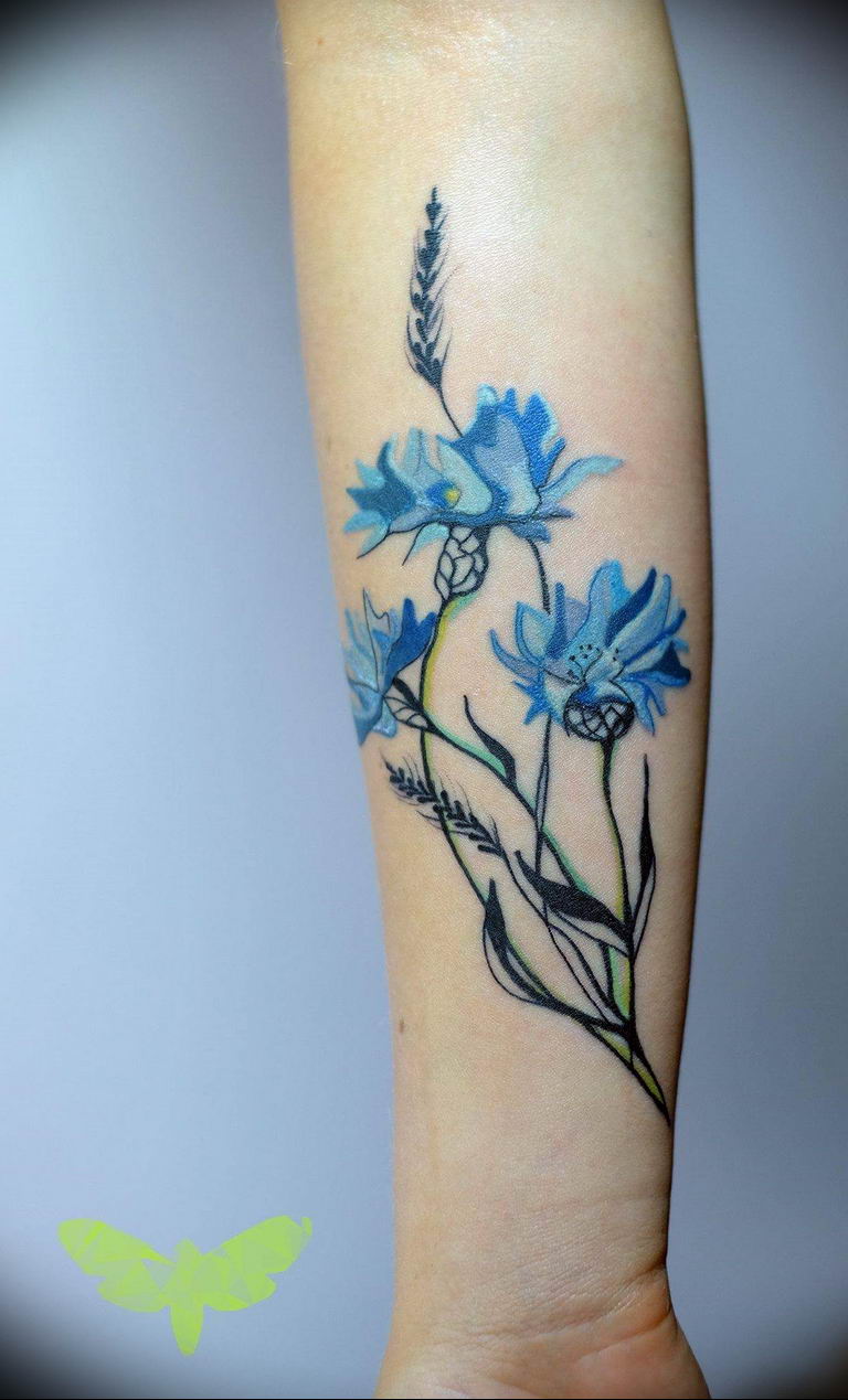 photo tattoo cornflower 03.03.2019 №011 - idea for a tattoo with cornflower - tattoovalue.net