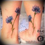 photo tattoo cornflower 03.03.2019 №013 - idea for a tattoo with cornflower - tattoovalue.net