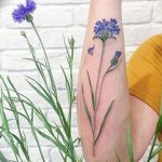 photo tattoo cornflower 03.03.2019 №014 - idea for a tattoo with cornflower - tattoovalue.net