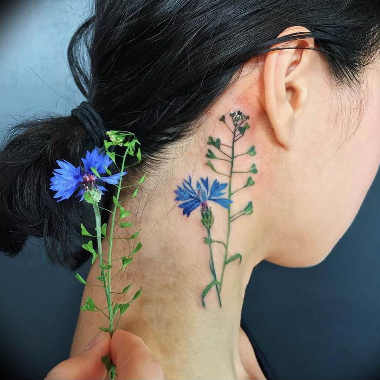 photo tattoo cornflower 03.03.2019 №015 - idea for a tattoo with cornflower - tattoovalue.net