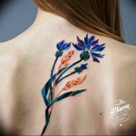 photo tattoo cornflower 03.03.2019 №017 - idea for a tattoo with cornflower - tattoovalue.net