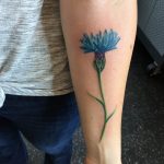 photo tattoo cornflower 03.03.2019 №020 - idea for a tattoo with cornflower - tattoovalue.net