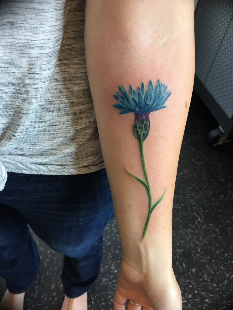 photo tattoo cornflower 03.03.2019 №020 - idea for a tattoo with cornflower - tattoovalue.net