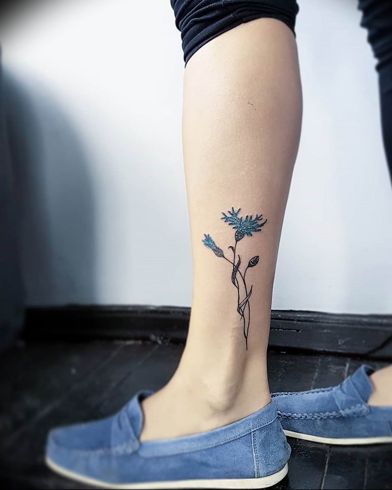 photo tattoo cornflower 03.03.2019 №021 - idea for a tattoo with cornflower - tattoovalue.net