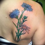 photo tattoo cornflower 03.03.2019 №025 - idea for a tattoo with cornflower - tattoovalue.net