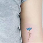 photo tattoo cornflower 03.03.2019 №026 - idea for a tattoo with cornflower - tattoovalue.net