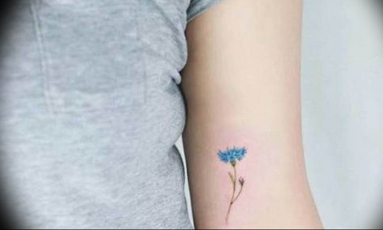 photo tattoo cornflower 03.03.2019 №026 - idea for a tattoo with cornflower - tattoovalue.net
