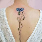 photo tattoo cornflower 03.03.2019 №031 - idea for a tattoo with cornflower - tattoovalue.net