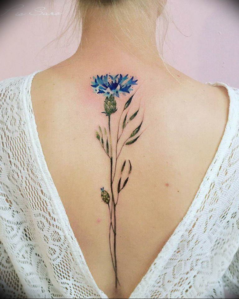 photo tattoo cornflower 03.03.2019 №031 - idea for a tattoo with cornflower - tattoovalue.net