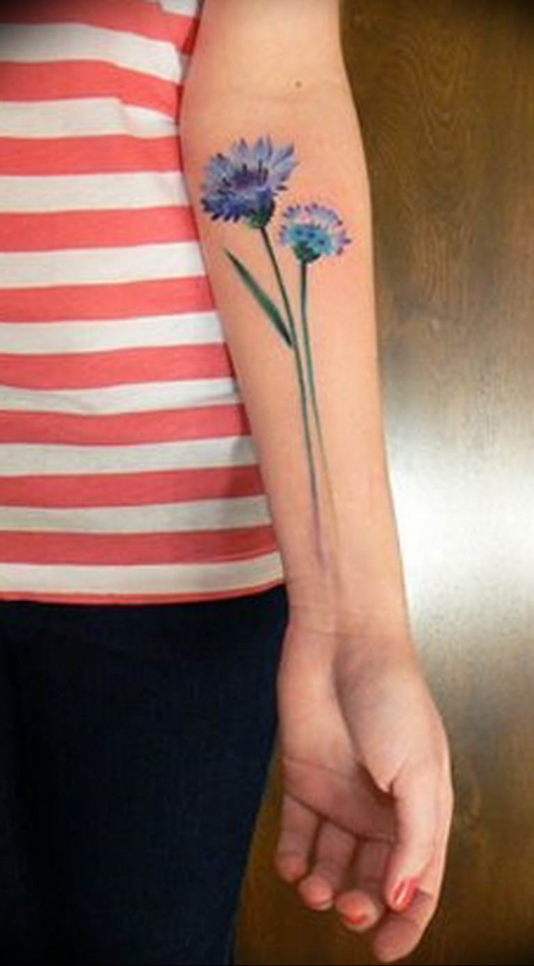 photo tattoo cornflower 03.03.2019 №032 - idea for a tattoo with cornflower - tattoovalue.net
